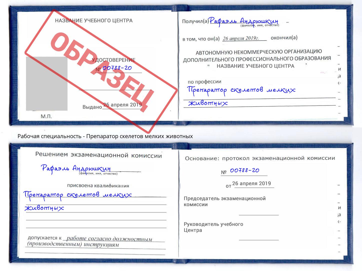 Препаратор скелетов мелких животных Комсомольск-на-Амуре