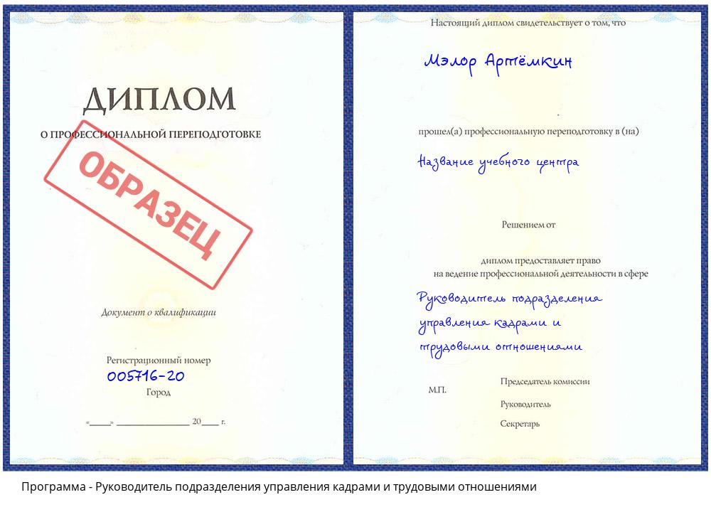 Руководитель подразделения управления кадрами и трудовыми отношениями Комсомольск-на-Амуре