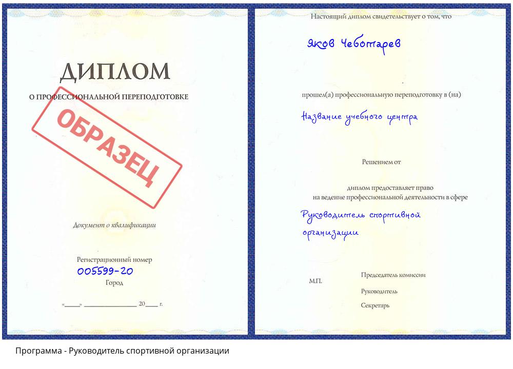 Руководитель спортивной организации Комсомольск-на-Амуре