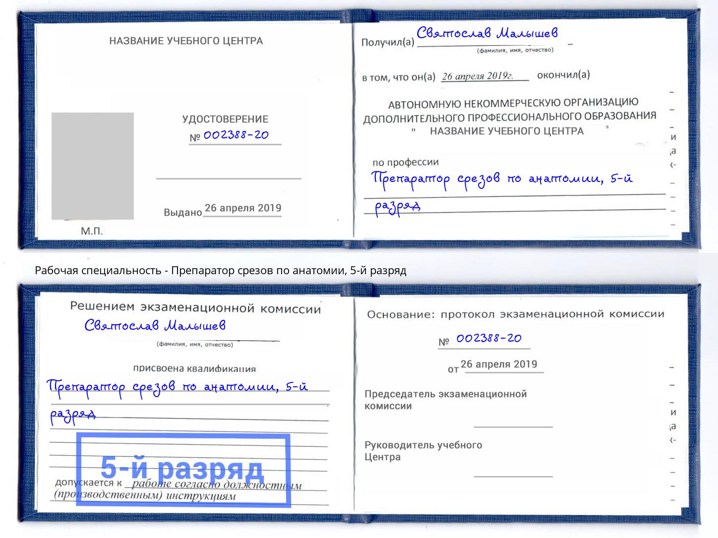 корочка 5-й разряд Препаратор срезов по анатомии Комсомольск-на-Амуре